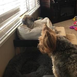 Meet your Posher, Péter